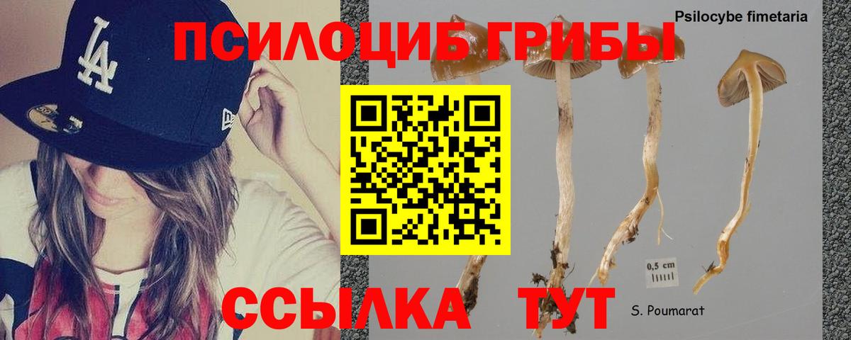 Псилоцибиновые грибы Magic Shrooms Чехов